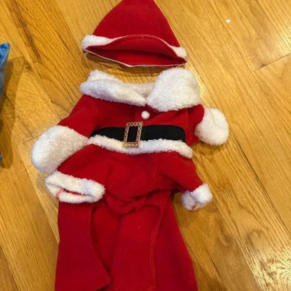 Santa Pet Costume with Hat
